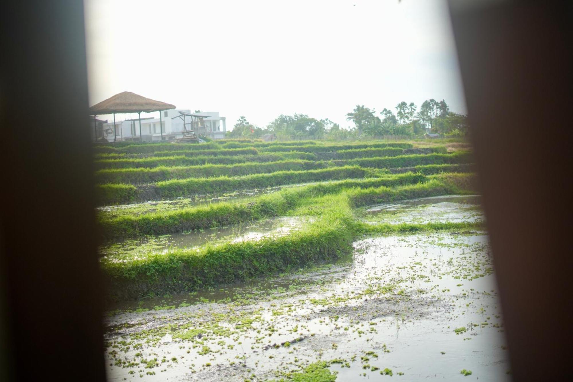 Villa In Seminyak Villa Mitra Dua Ricefield View Relax Kerobokan Εξωτερικό φωτογραφία